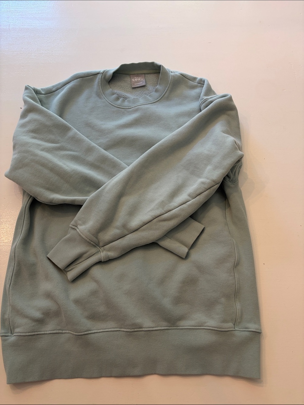 TNA Crewneck Sweatshirt in Sage Green